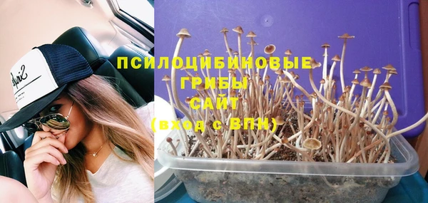 Альфа ПВП Баксан